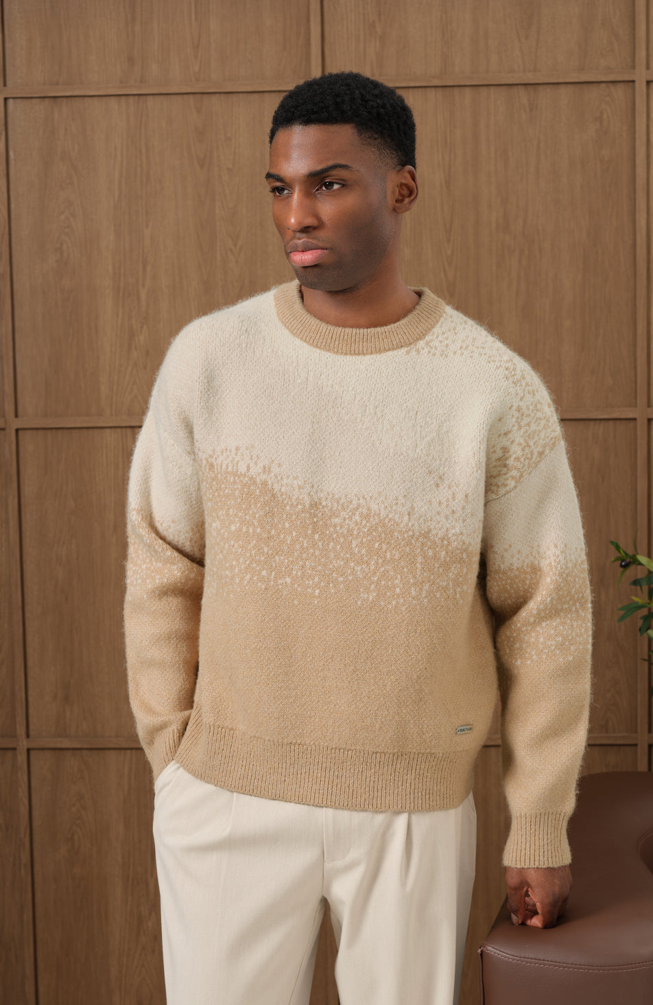 Salvador Ombre Knit Jumper in Beige